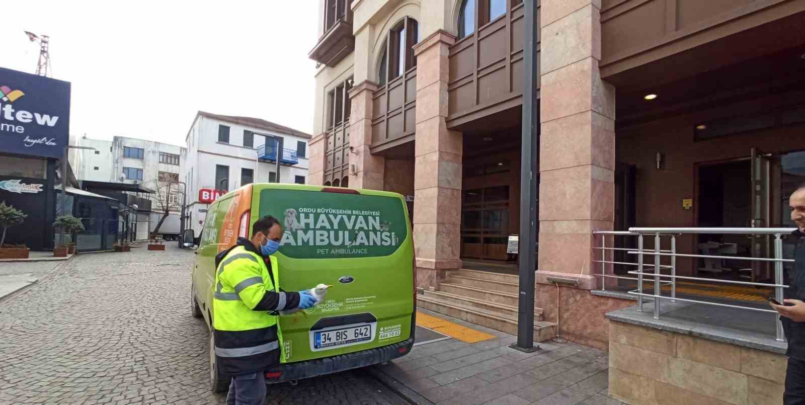 YARALI MARTI’YA BÜYÜKŞEHİR ŞEFKATİ